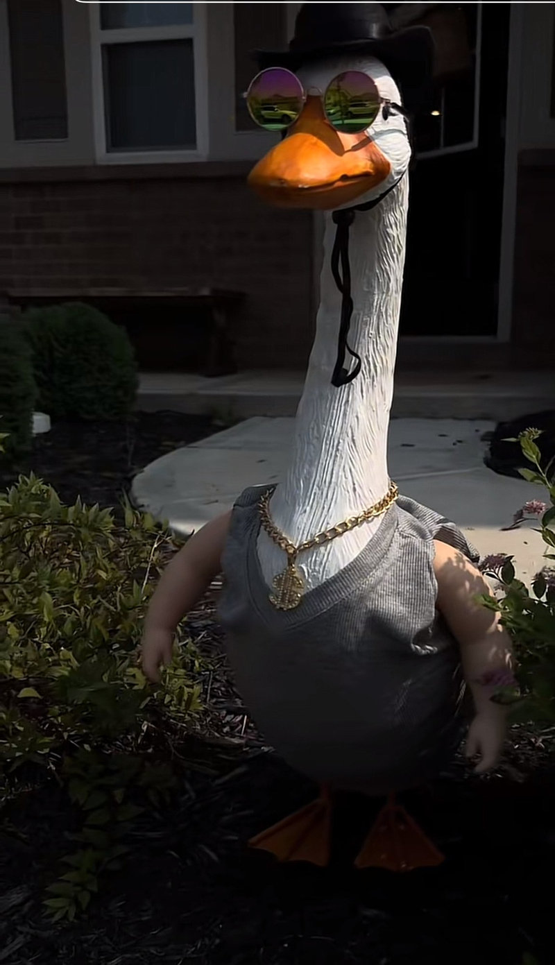 Lucy Goosey the porch goose wearing black hat, round shades